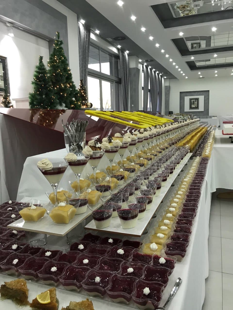 Svečani salon Krin 11