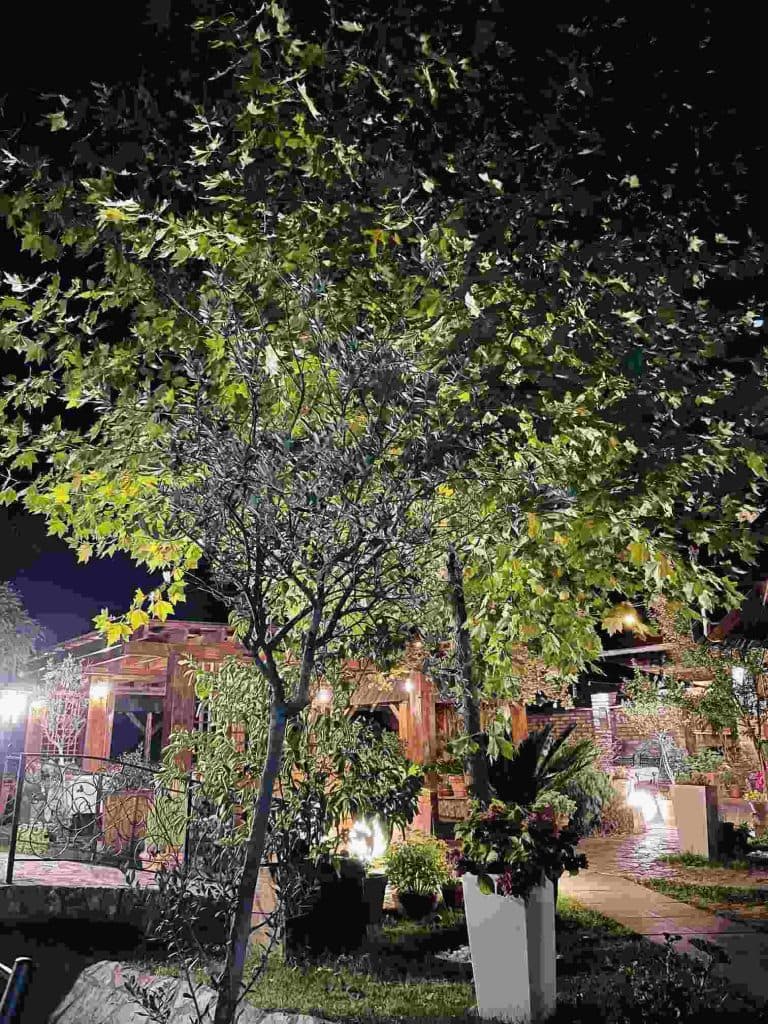 Restoran Stara Ada 9