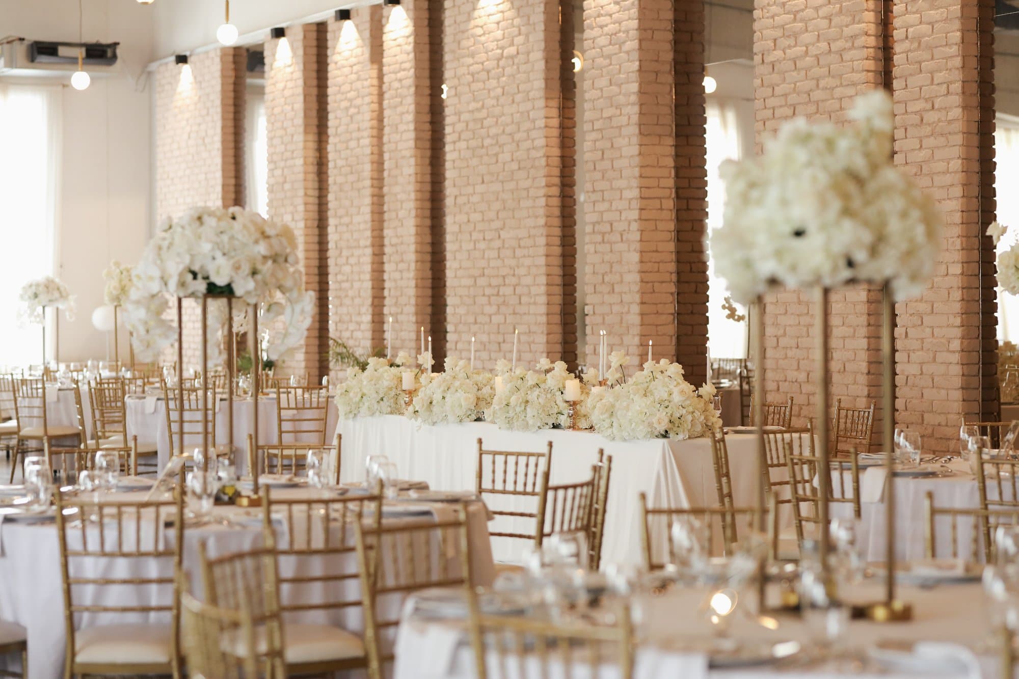 Plato Events fotografija 2