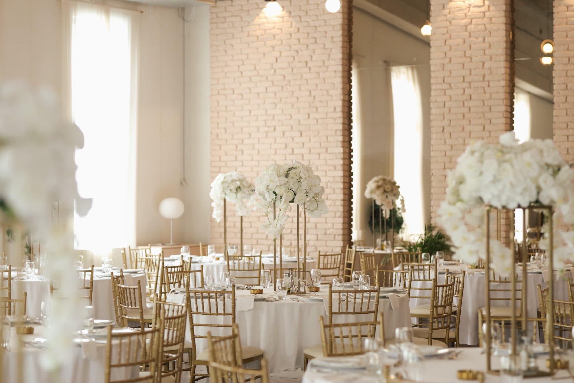 Plato Events fotografija 4