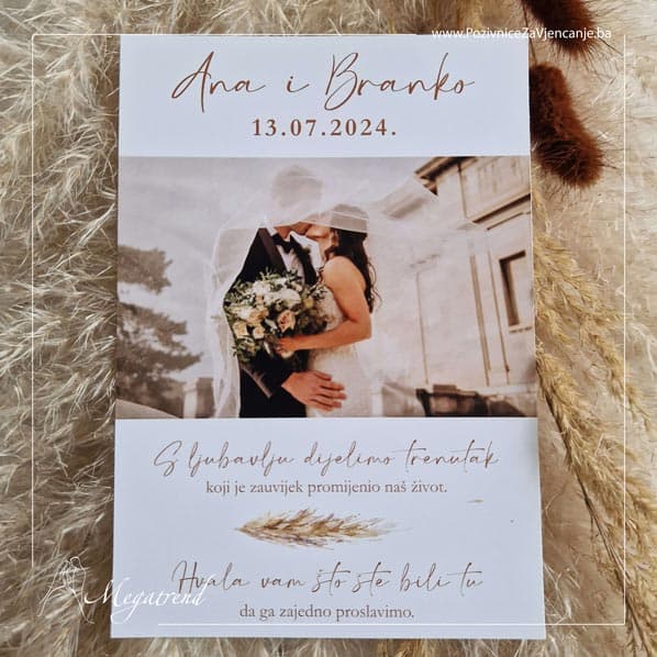 Pozivnice Megatrend 30