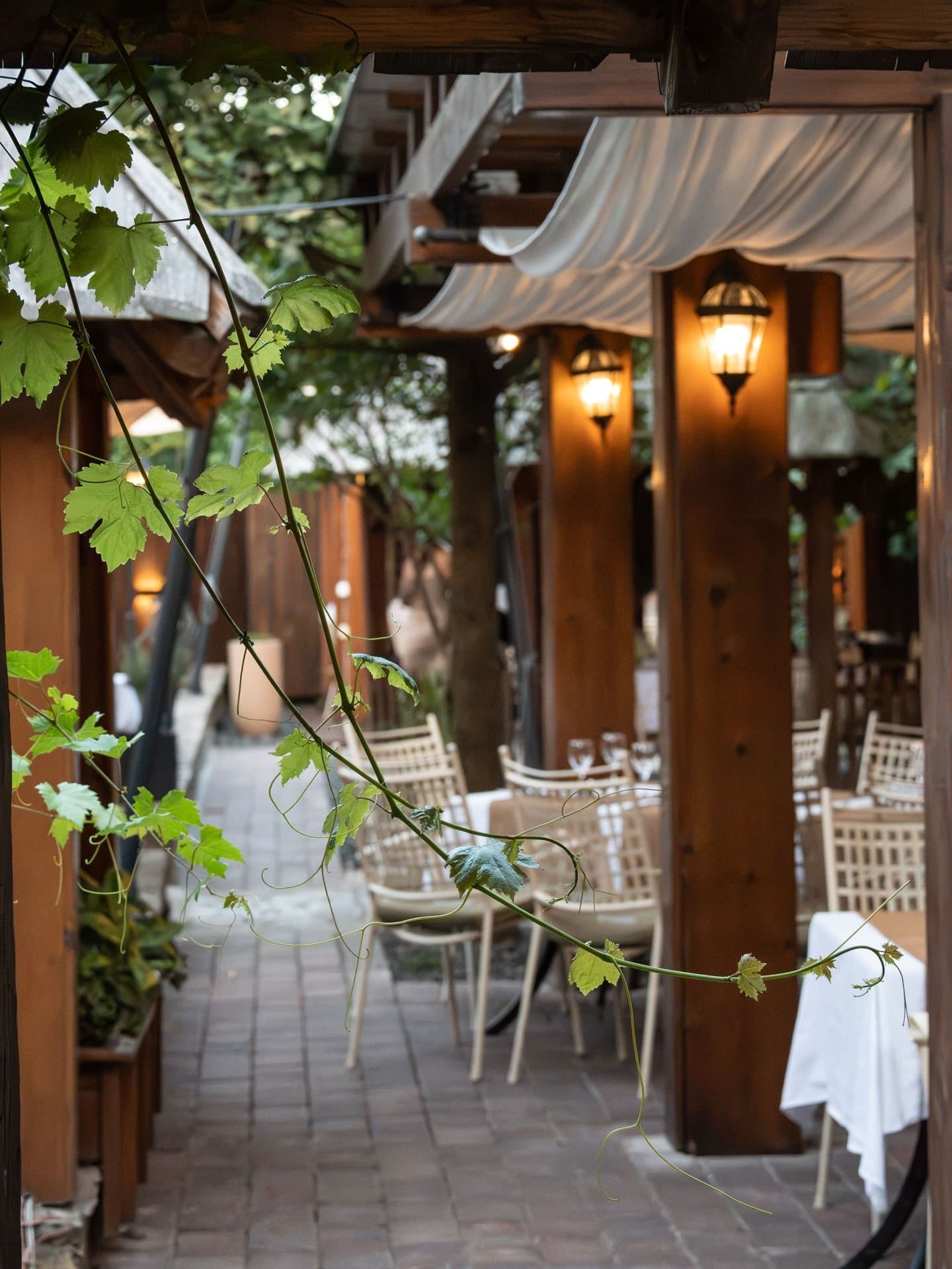 Restoran Stara Ada 27